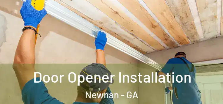  Door Opener Installation Newnan - GA