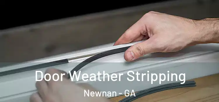  Door Weather Stripping Newnan - GA