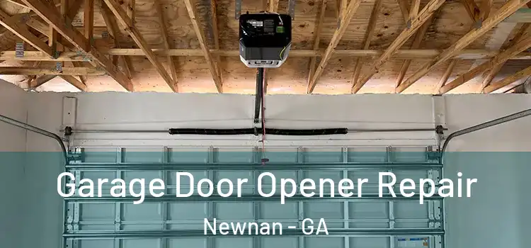  Garage Door Opener Repair Newnan - GA