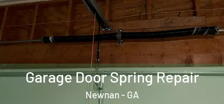  Garage Door Spring Repair Newnan - GA